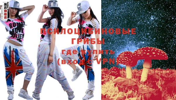 прущая мука Арсеньев