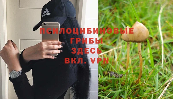 прущий лед Аркадак