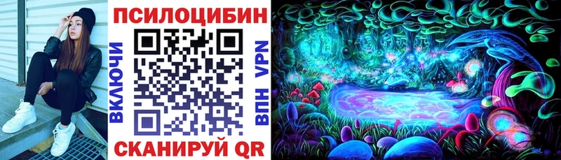 Псилоцибиновые грибы Psilocybe  купить наркотик  Ленинск-Кузнецкий 