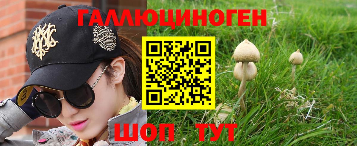 Псилоцибиновые грибы Cubensis Ленинск-Кузнецкий